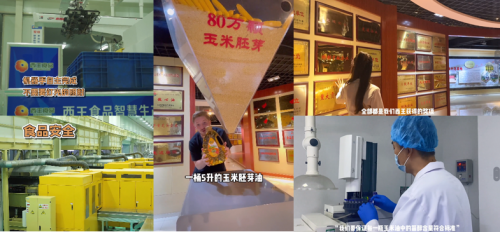 达人深入西王食品,溯源直击工厂内部