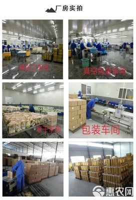 工厂供应1两以下一级油菜花农工种植露天种植花冠小油菜