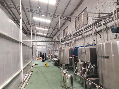 麦芽汁发酵格瓦斯饮料设备 灯笼果饮料加工生产线 厂家供应